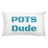 Basic Pillow: POTS Dude