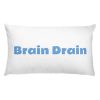 Basic Pillow: Brain Drain