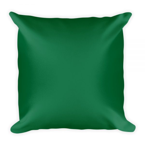 Basic Pillow:  I Wish There Was A Grinch That Could Steal Chiari Away - Image 4