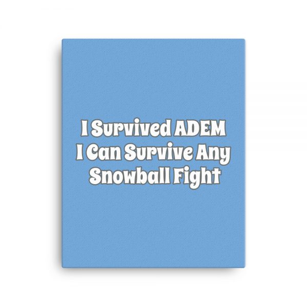 Canvas:  I Survived ADEM I Can Survive Any Snowball Fight - Image 4