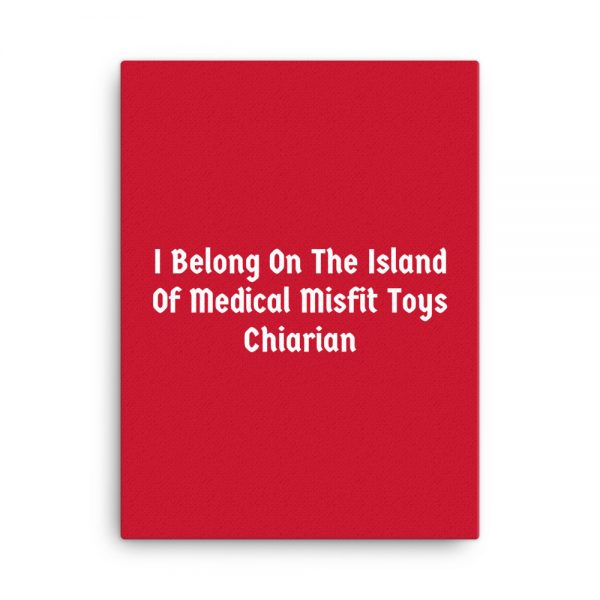 Canvas:  I Belong On The Island Of Medical Misfit Toys Chiarian - Image 5