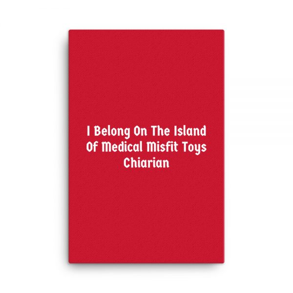 Canvas:  I Belong On The Island Of Medical Misfit Toys Chiarian - Image 6