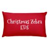 Basic Pillow: Christmas Zebra EDS