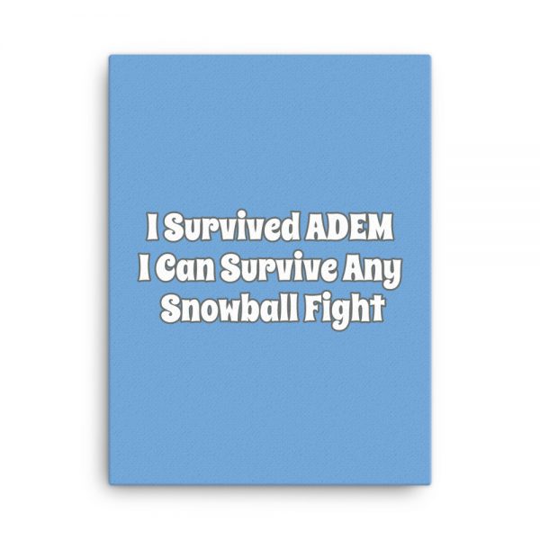 Canvas:  I Survived ADEM I Can Survive Any Snowball Fight - Image 5