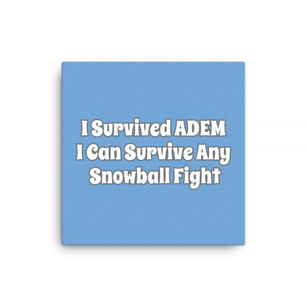 Canvas:  I Survived ADEM I Can Survive Any Snowball Fight - Image 3