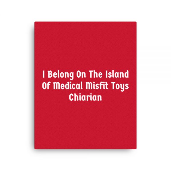 Canvas:  I Belong On The Island Of Medical Misfit Toys Chiarian - Image 4