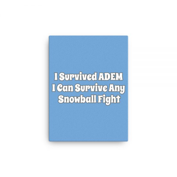 Canvas:  I Survived ADEM I Can Survive Any Snowball Fight - Image 2