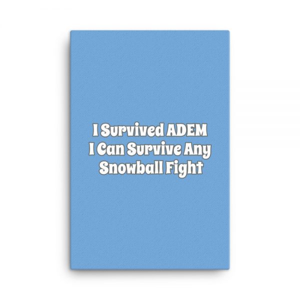 Canvas:  I Survived ADEM I Can Survive Any Snowball Fight - Image 6