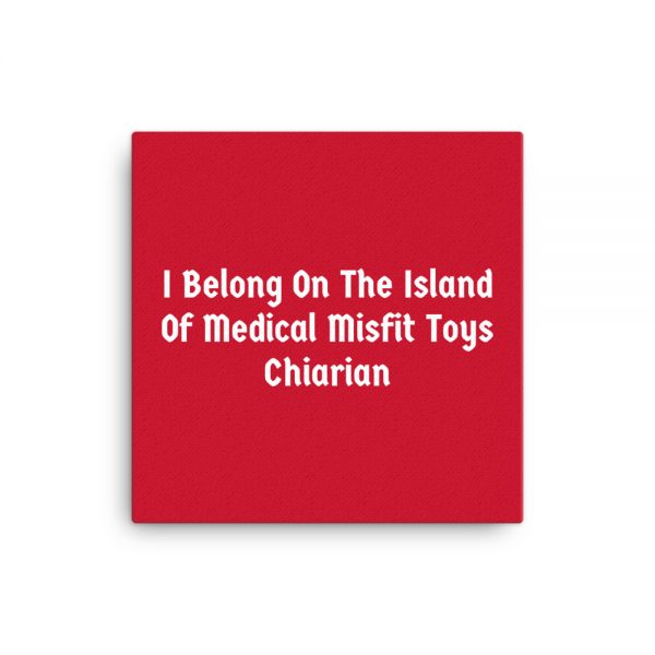 Canvas:  I Belong On The Island Of Medical Misfit Toys Chiarian - Image 3