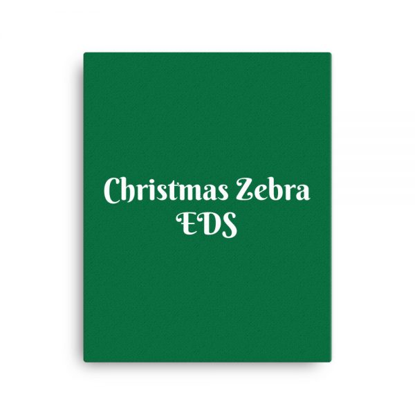 Canvas: Christmas Zebra EDS - Image 4