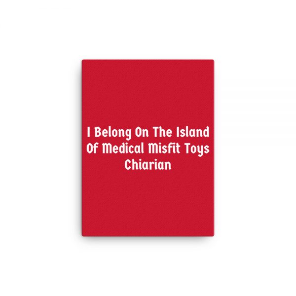 Canvas:  I Belong On The Island Of Medical Misfit Toys Chiarian - Image 2