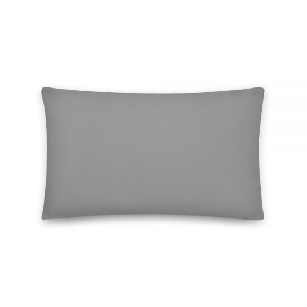 Basic Pillow:Mr. Pressure IIH - Image 2