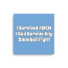 Canvas:  I Survived ADEM I Can Survive Any Snowball Fight