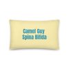 Basic Pillow:	Camel Guy Spina Bifida