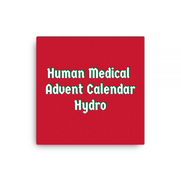 Canvas: Human Medical Advent Calendar Hydro - Image 3